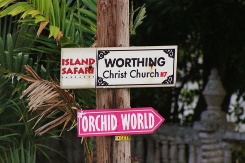 (Above: Throughout Barbados there are constant reminders of the island's link to Britain, such as the names of towns)